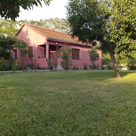 Apartman Donji Kraj Apartment Cetinje Luaran gambar