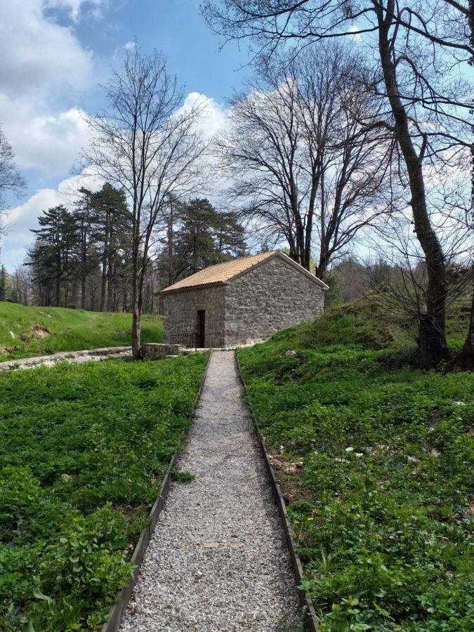 Apartman Donji Kraj Apartment Cetinje Luaran gambar