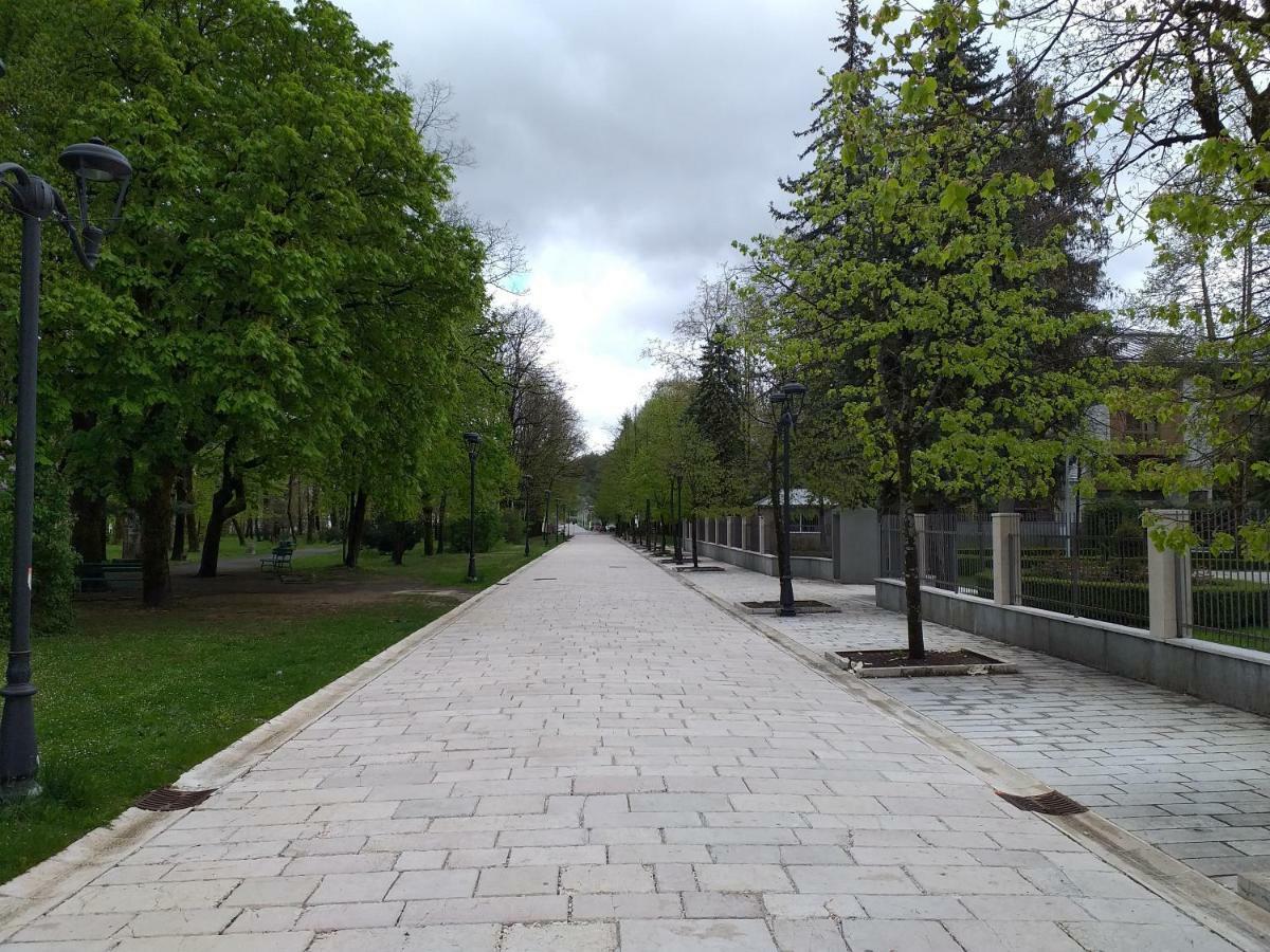 Apartman Donji Kraj Apartment Cetinje Luaran gambar