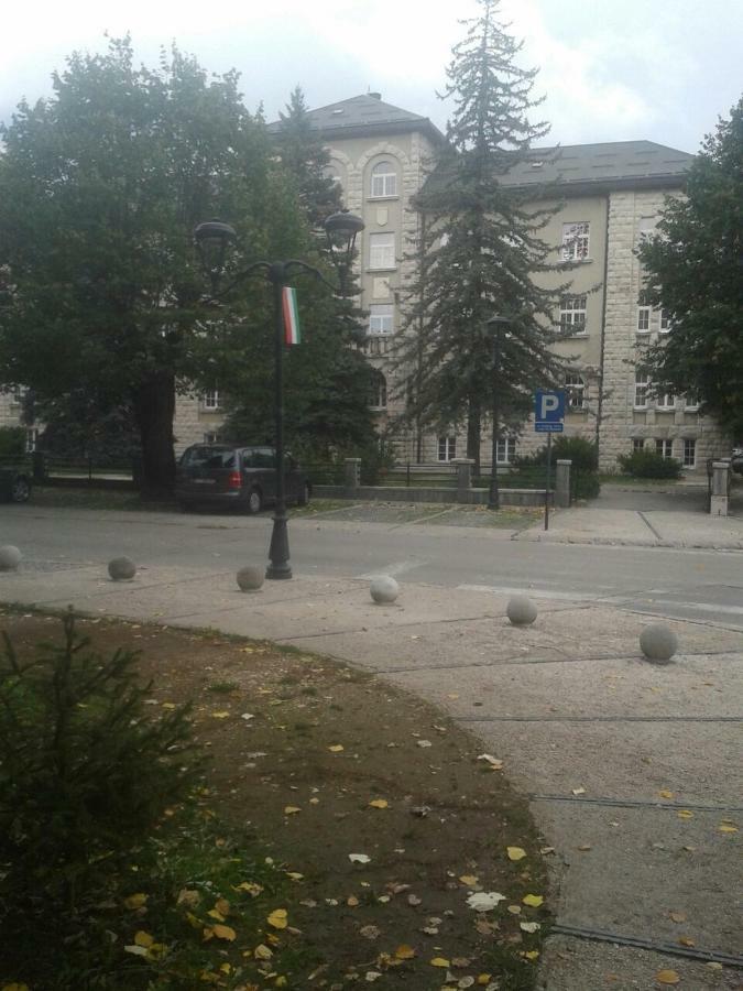 Apartman Donji Kraj Apartment Cetinje Luaran gambar