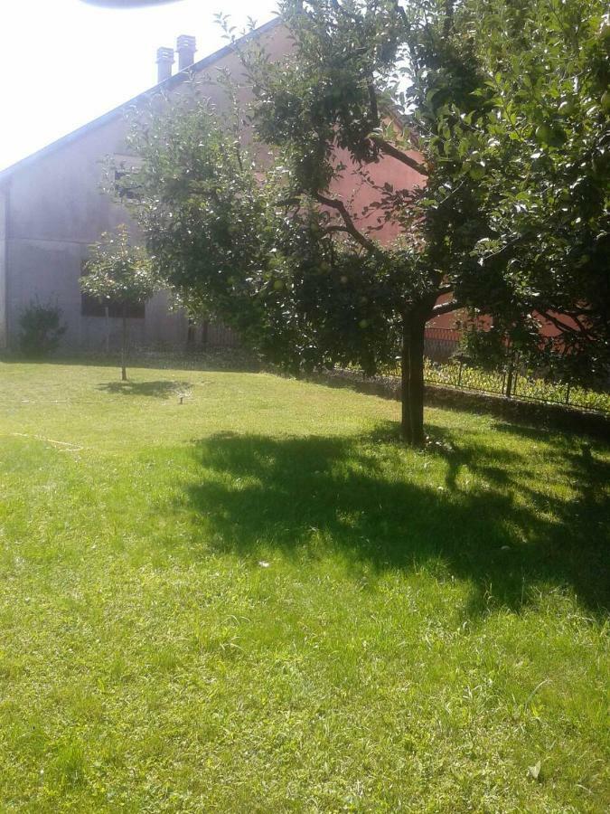 Apartman Donji Kraj Apartment Cetinje Luaran gambar